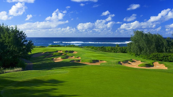 Turtle Bay Resort Palmer 1