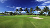 Hawaii Prince Golf Club Course of Day