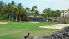 Waikoloa Beach Course