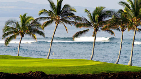 Waikoloa Beach Daily Special