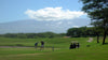 The Dunes at Maui Lani