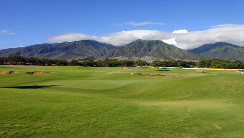 The Dunes at Maui Lani