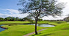 The Dunes at Maui Lani