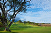 The Dunes at Maui Lani