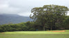 Princeville Makai Woods 9 holes Golf Course