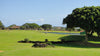 Kiahuna Golf Club