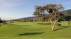 King Kamehameha Golf Club