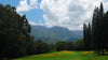 Princeville Makai Woods 9 holes Golf Course