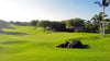 Mauna Lani Resort North Course