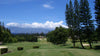 Kapalua Bay Golf Club 2014