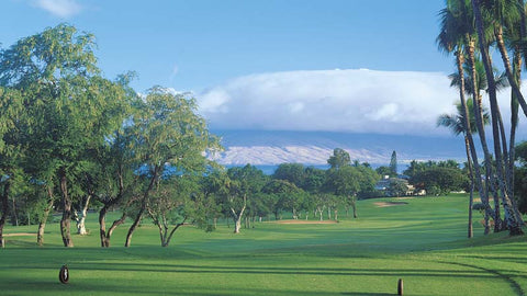 Wailea Old Blue Golf Course 2014