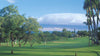 Wailea Old Blue Golf Course 2014