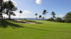 Wailea Gold Golf Club 2014