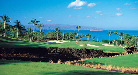 Wailea Gold Golf Club 2014