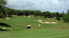 Kahili Golf Course