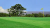 Volcano Golf and Country Club