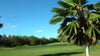 Hawaii Prince Golf Club Course of Day