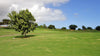 Puakea Golf Course