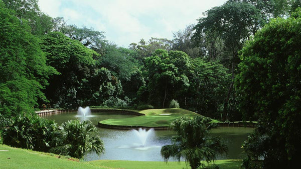 royal hawaiian golf club dress code Royal Hawaiian Golf Club